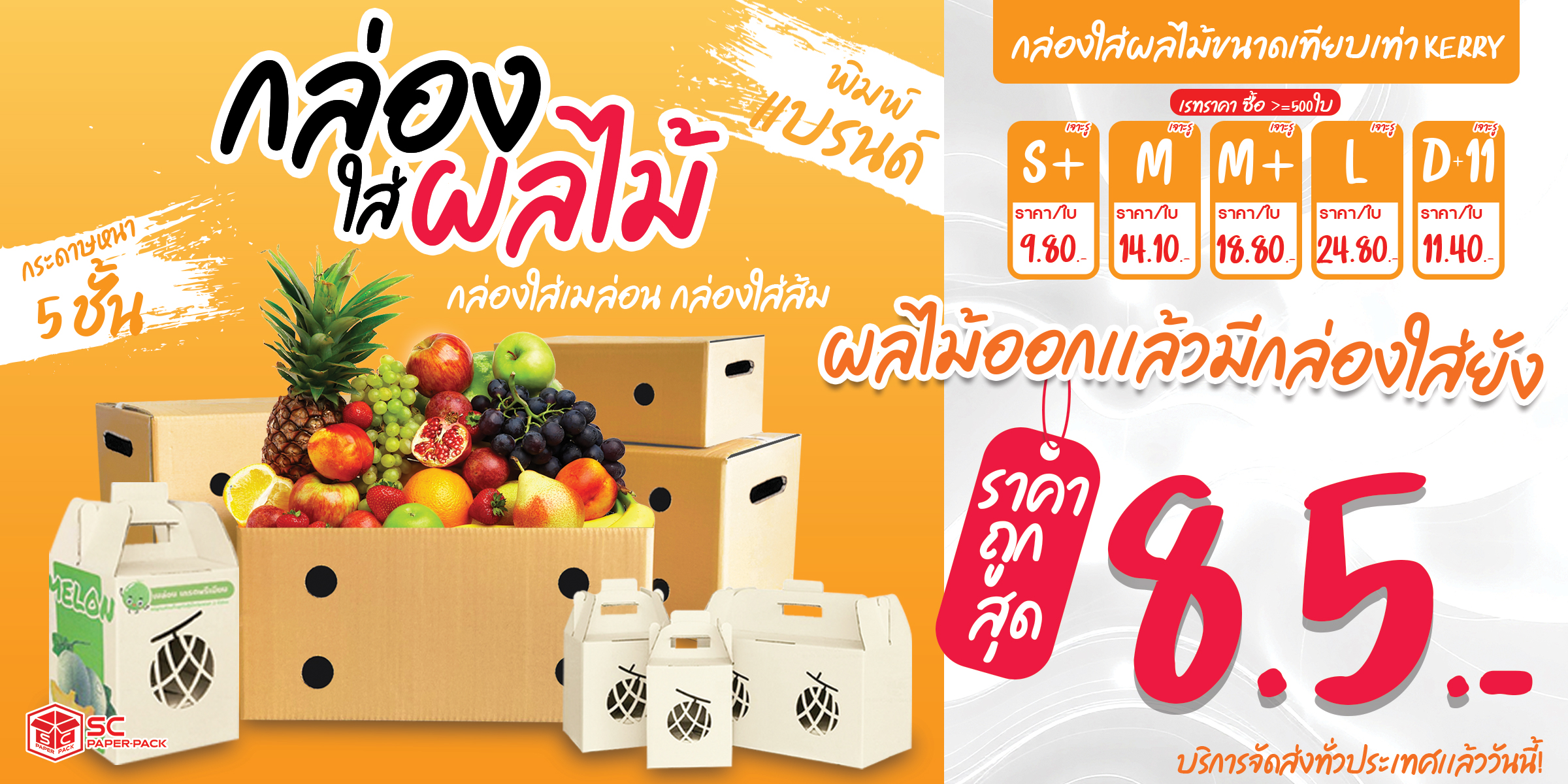 กล่องใส่ผลไม้ – ปกป้องความสด สะท้อนคุณค่าแห่งธรรมชาติ